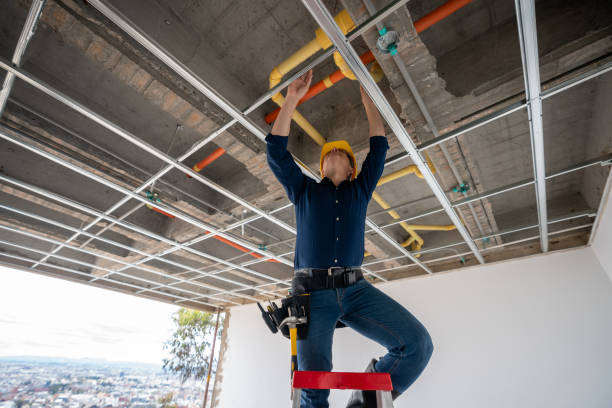 Best Residential Plumbing Services  in Darlington, WI