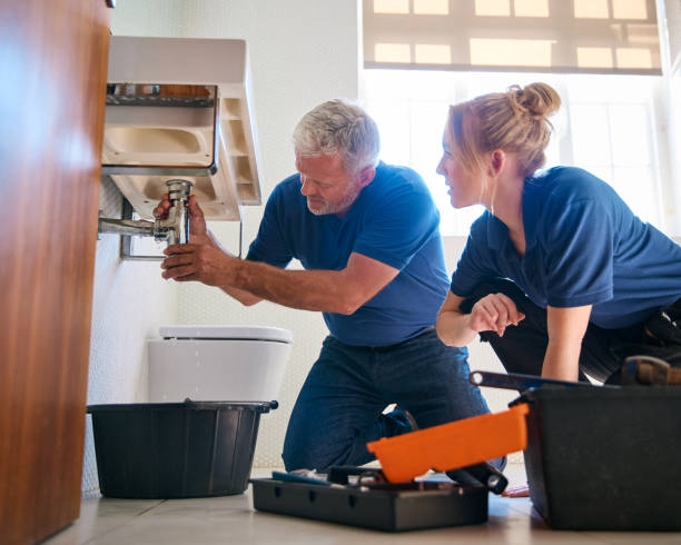 Best Clogged Drain Plumber  in Darlington, WI